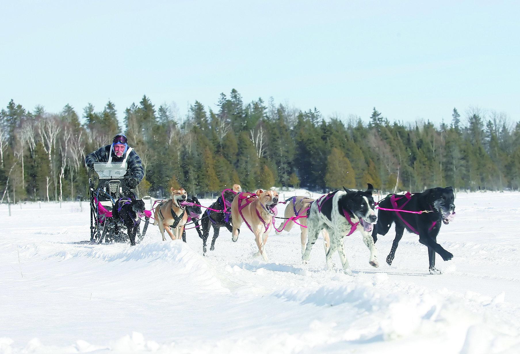 Holiday Inn Express And Suites Timmins By Ihg Eksteriør bilde